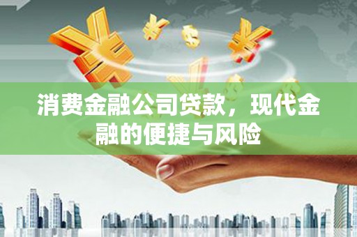 禅城消费金融公司贷款，现代金融的便捷与风险