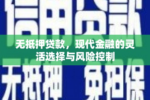 禅城无抵押贷款，现代金融的灵活选择与风险控制