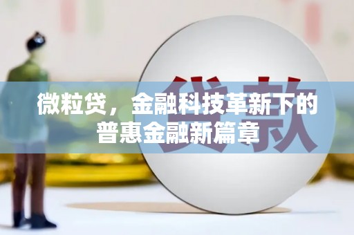 禅城微粒贷，金融科技革新下的普惠金融新篇章
