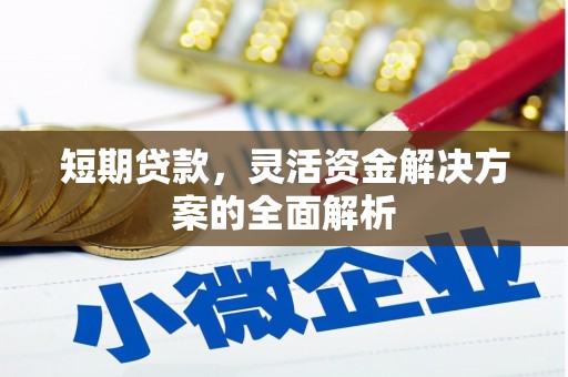 禅城短期贷款，灵活资金解决方案的全面解析