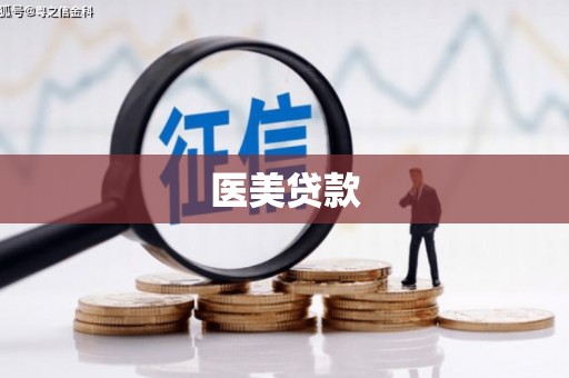 禅城医美贷款