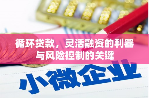 禅城循环贷款，灵活融资的利器与风险控制的关键
