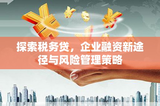 禅城探索税务贷，企业融资新途径与风险管理策略