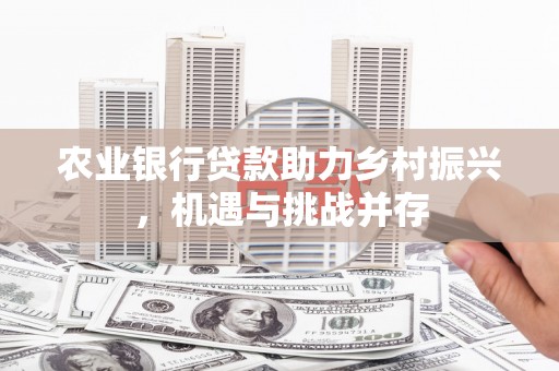 禅城农业银行贷款助力乡村振兴，机遇与挑战并存