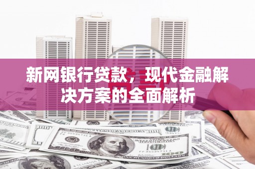 禅城新网银行贷款，现代金融解决方案的全面解析
