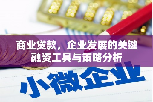 禅城商业贷款，企业发展的关键融资工具与策略分析