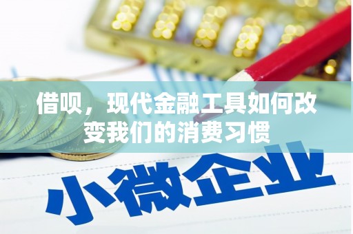 禅城借呗，现代金融工具如何改变我们的消费习惯