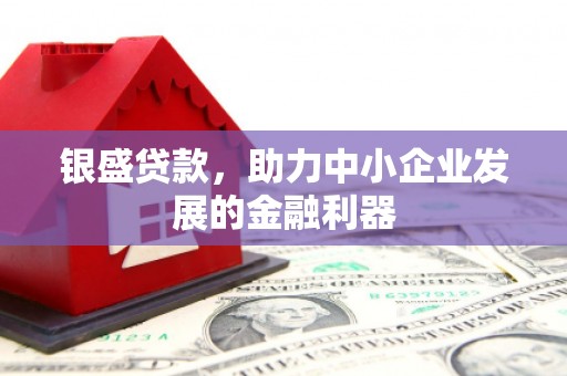 禅城银盛贷款，助力中小企业发展的金融利器