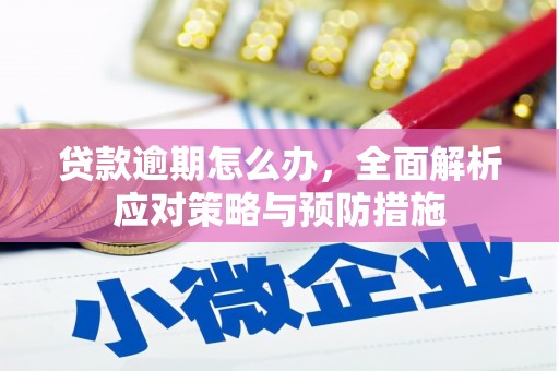 禅城贷款逾期怎么办，全面解析应对策略与预防措施