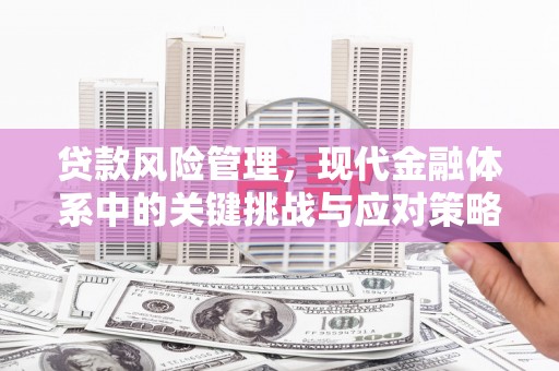 禅城贷款风险管理，现代金融体系中的关键挑战与应对策略