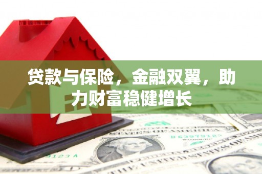 禅城贷款与保险，金融双翼，助力财富稳健增长