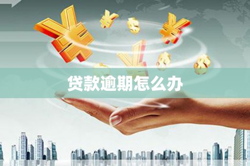 禅城贷款逾期怎么办