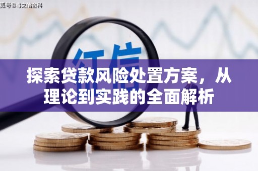 禅城探索贷款风险处置方案，从理论到实践的全面解析