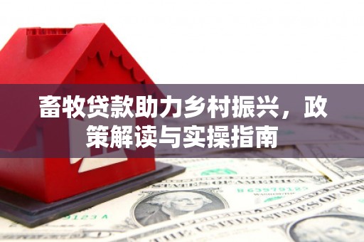 禅城畜牧贷款助力乡村振兴，政策解读与实操指南