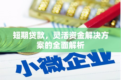 禅城短期贷款，灵活资金解决方案的全面解析