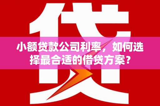 禅城小额贷款公司利率，如何选择最合适的借贷方案？