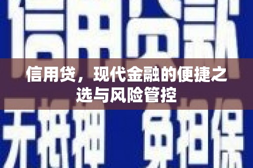禅城信用贷，现代金融的便捷之选与风险管控