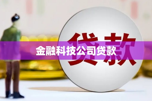 禅城金融科技公司贷款