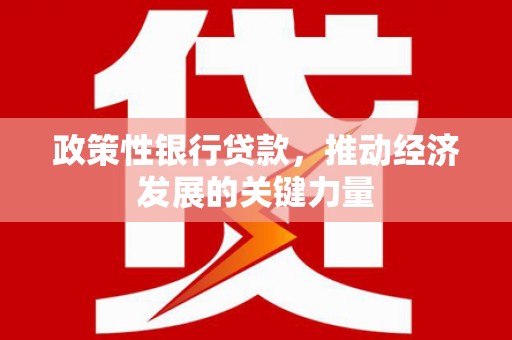 禅城政策性银行贷款，推动经济发展的关键力量