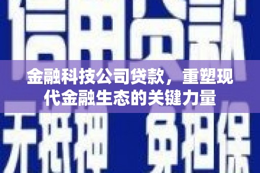 禅城金融科技公司贷款，重塑现代金融生态的关键力量