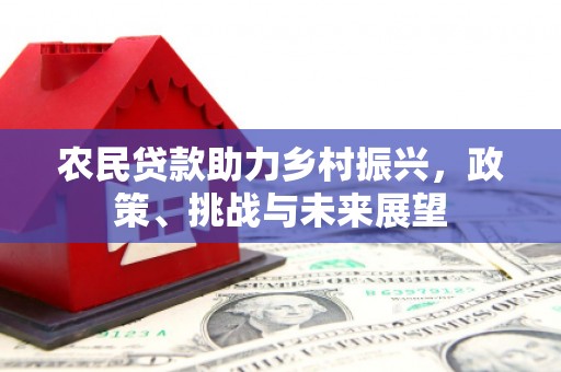 禅城农民贷款助力乡村振兴，政策、挑战与未来展望