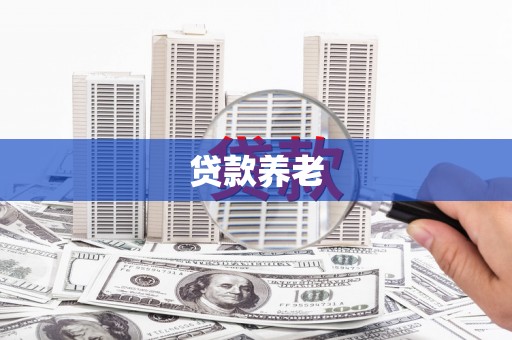 禅城贷款养老
