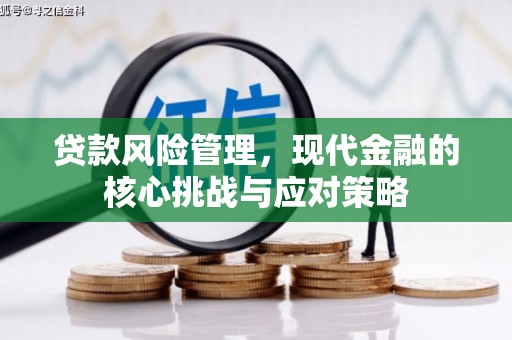 禅城贷款风险管理，现代金融的核心挑战与应对策略