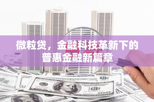 禅城微粒贷，金融科技革新下的普惠金融新篇章