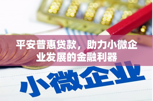 禅城平安普惠贷款，助力小微企业发展的金融利器