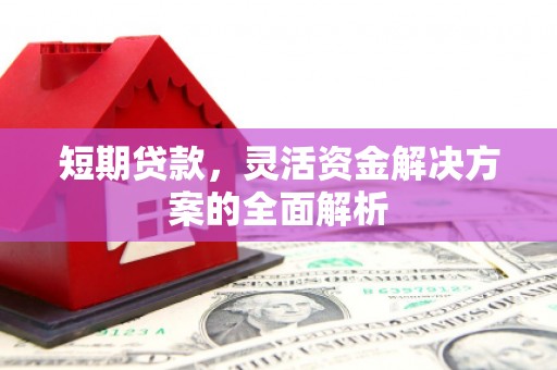 禅城短期贷款，灵活资金解决方案的全面解析