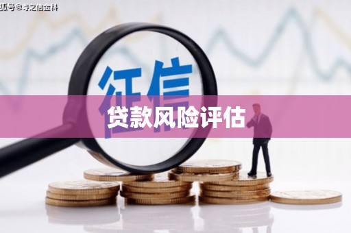 禅城贷款风险评估