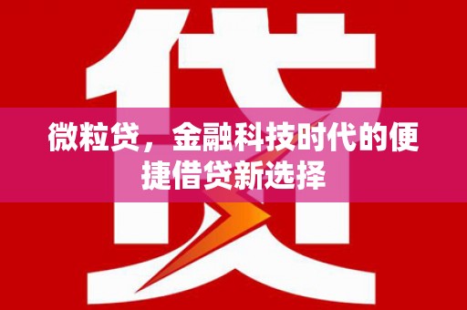 禅城微粒贷，金融科技时代的便捷借贷新选择