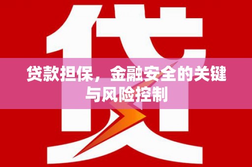 禅城贷款担保，金融安全的关键与风险控制