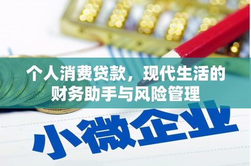 禅城个人消费贷款，现代生活的财务助手与风险管理