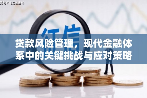 禅城贷款风险管理，现代金融体系中的关键挑战与应对策略