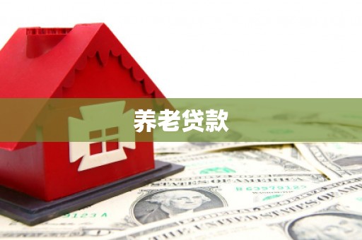 禅城养老贷款