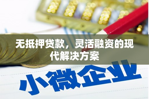 禅城无抵押贷款，灵活融资的现代解决方案