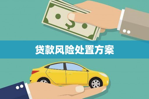 禅城贷款风险处置方案