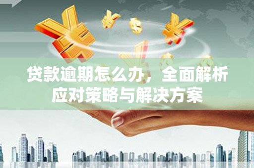 禅城贷款逾期怎么办，全面解析应对策略与解决方案