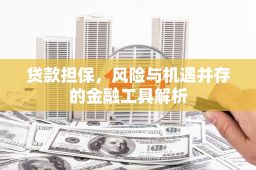 禅城贷款担保，风险与机遇并存的金融工具解析