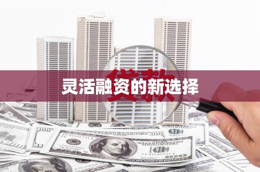 禅城灵活融资的新选择