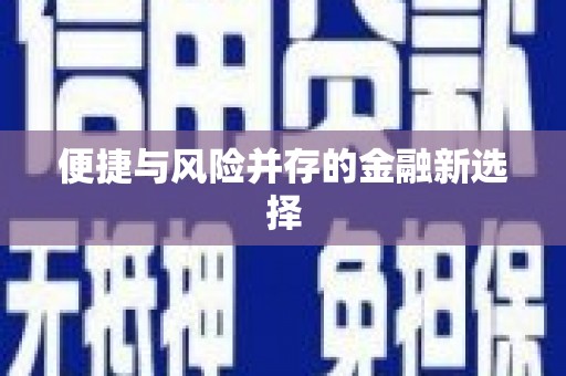 禅城便捷与风险并存的金融新选择