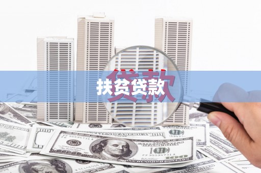 禅城扶贫贷款