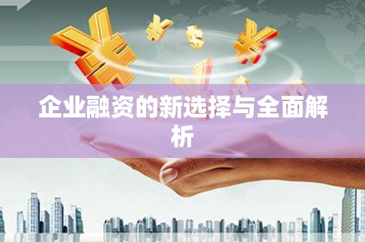禅城企业融资的新选择与全面解析