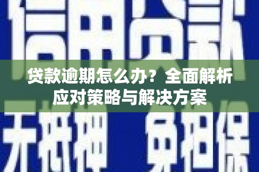 禅城贷款逾期怎么办？全面解析应对策略与解决方案