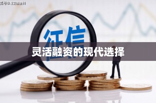 禅城灵活融资的现代选择