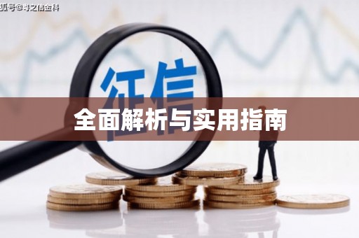禅城全面解析与实用指南