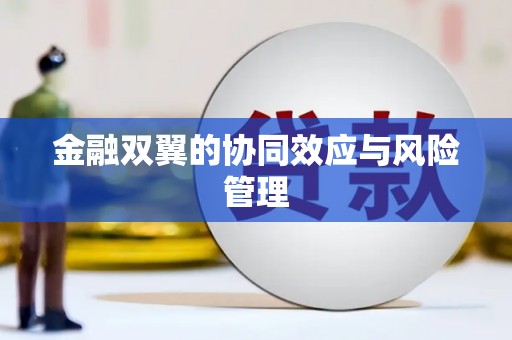 禅城金融双翼的协同效应与风险管理