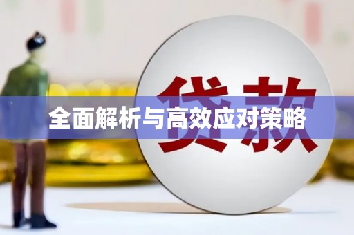 禅城全面解析与高效应对策略