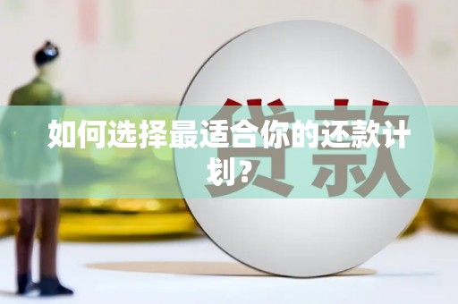 禅城如何选择最适合你的还款计划？